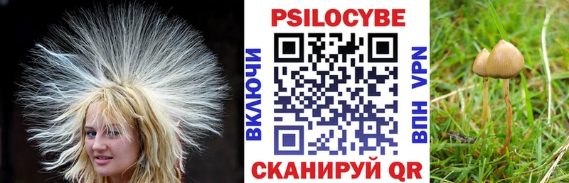 Псилоцибиновые грибы Cubensis  продажа наркотиков  кракен зеркало  Нижняя Салда 